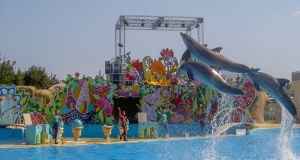 DECIBEL06 - Prestation et spectacles - MARINELAND - Sound-Light-Video