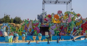 DECIBEL06 - Prestation et spectacles - MARINELAND - Sound-Light-Video