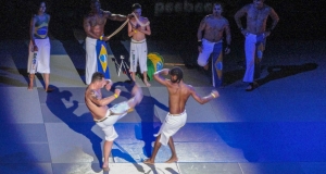 DECIBEL06 - Sport Arts Martiaux - Sound-Light-Video